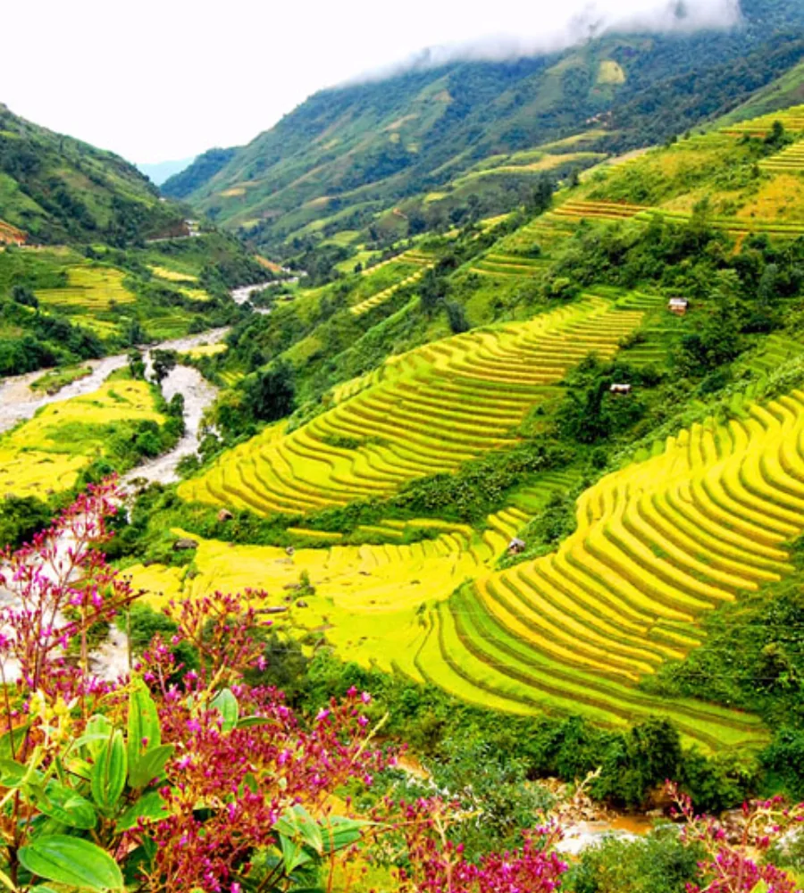 HÀ NỘI - SAPA