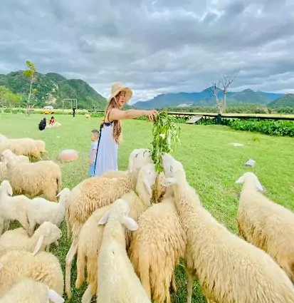 TOUR BÌNH HƯNG - BÌNH BA 2N2Đ - Nhu Y Travel