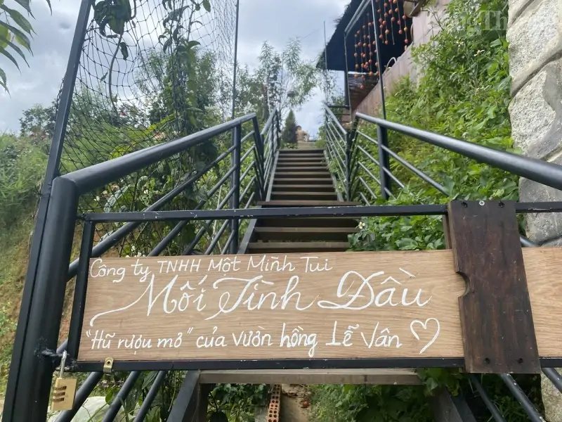 Lâm Đồng: Vườn hồng Lễ Vân – điểm đến không thể bỏ lỡ trong mùa thu Đà